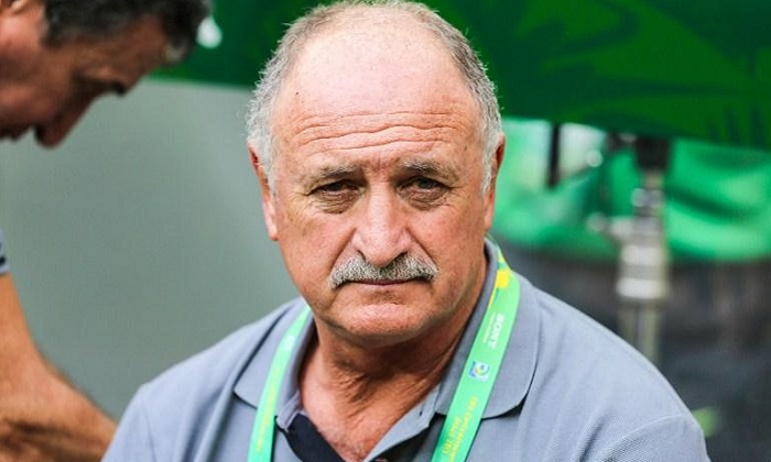 scolari-nvo1