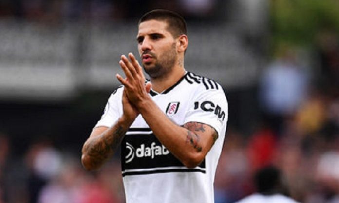 aleksandar-mitrovic