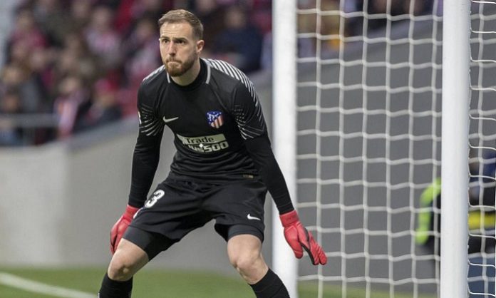 jan oblak