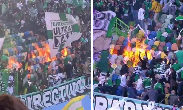 sporting-fans