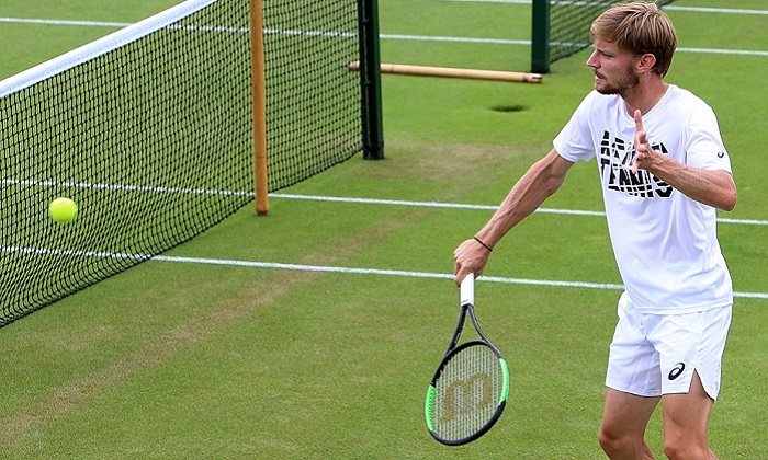 david_goffin