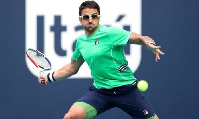 tipsarevic-1