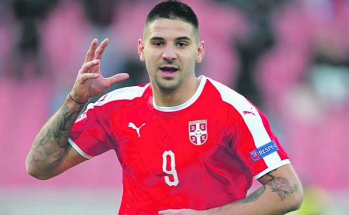 mitrovic-1-