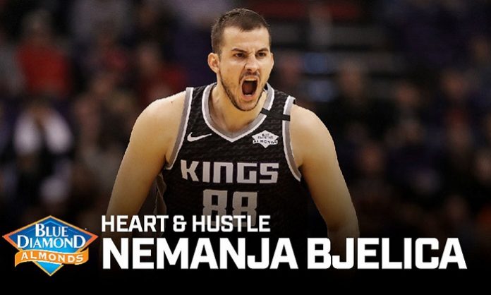 bjelica-s.kings