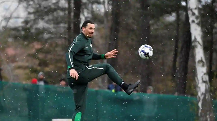 tockholm-hammarby-soccer-player-zlatan-ibrahimovic-swedish