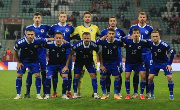 repka-bih1