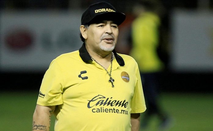 armando maradona