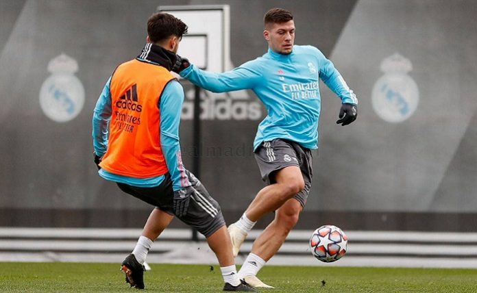 jovic-training