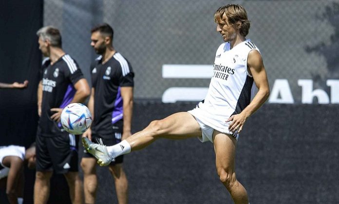 modrić