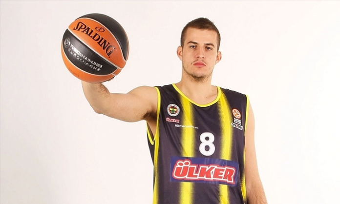 bjelica, fenerbahče