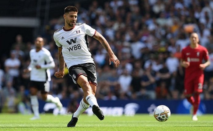 mitrovic,fulham